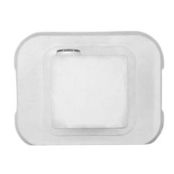 купить Пылесос для бассейна NEMH2O 4A Removable Charger + Power Supply V21 в Кишинёве 