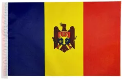 купить Спортивное оборудование miscellaneous 8777 Flag-stegulet cu suport Moldova в Кишинёве 