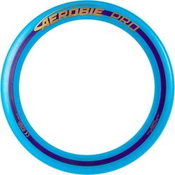 купить Игрушка Spin Master 6046387 Aerobie Sprint 25 cm in asort. в Кишинёве 
