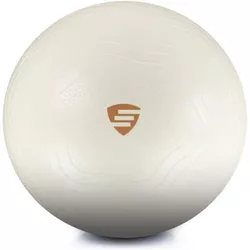 купить Мяч LivePro LP9005/65/WH Exercise Ball 65cm в Кишинёве 