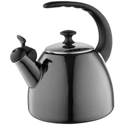 купить Чайник Emalia Pleszew 0C0025 Metalico, emailat, 2.2L, negru в Кишинёве 