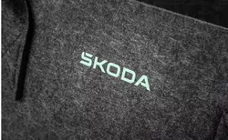 cumpără Accesoriu auto Skoda 000087317BS Сумка для покупок из войлока în Chișinău 