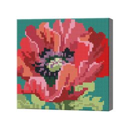 Яркий мак, 20x20 см, алмазная мозаика