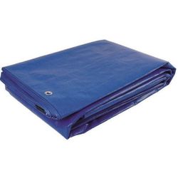 купить Брезент Greentech Брезент 120gr 10x12 blue в Кишинёве 