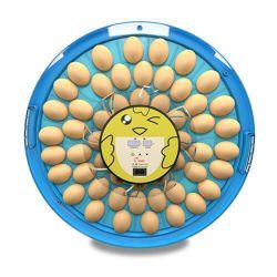 Инкубатор для яиц автоматический MS-52, 52 куриных, 52 утиных, 52 перепелиных яйца