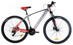 купить Велосипед Crosser QUICK 29" 19 21S Shimano+Logan Hidraulic Grey/Red в Кишинёве 