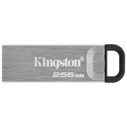 cumpără USB flash memorie Kingston DTKN/256GB în Chișinău 