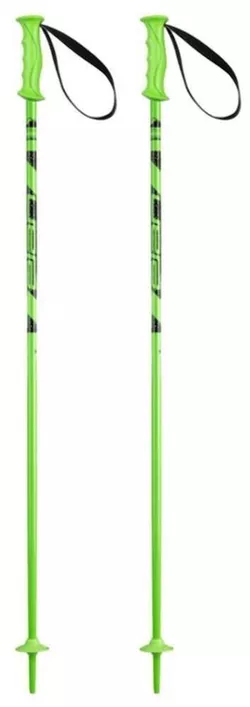 купить Лыжные палки Elan Rock Rod JR green 095 (CD813121) в Кишинёве 