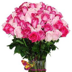 Букет из 51 розово- малиновой розы 70-80 см