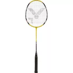 купить Спортивное оборудование miscellaneous 9456 Paleta badminton Victor 110300 AL-2200 alu/steel в Кишинёве 