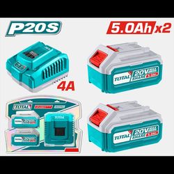 купить Зарядные устройства и аккумуляторы Total tools TFBCPK2513 2 acum. 20,0V 5,0Ah cu incarcator в Кишинёве 