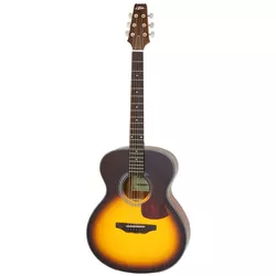 купить Гитара Aria AF-10 TS Chitara (cu husa) в Кишинёве 