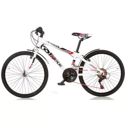 cumpără Bicicletă Dino Bikes 1024 B-05 Fast Boy ø 24 în Chișinău 