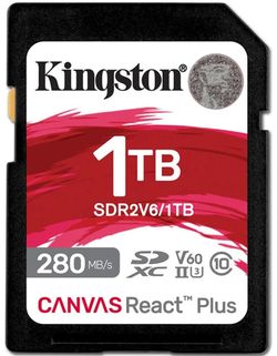 купить Флеш карта памяти SD Kingston SDR2V6/1TB в Кишинёве 