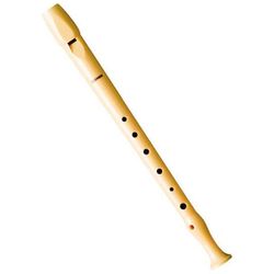 cumpără Instrument muzical de suflat Hohner B95084 Melody Soprano Recorder blockflote (95084) în Chișinău 