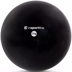 купить Мяч inSPORTline 13275 Minge yoga 1 kg IN3488-2 PVC sand Yoga Ball Black в Кишинёве 
