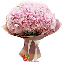 Buchet "Gingasie" din Hortensie Roz