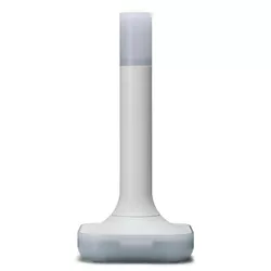 купить Wi-Fi точка доступа Home Assistant Connect ZBT-2 Zigbee/ Thread в Кишинёве 