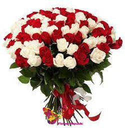 Монобукет из 101 Красно-белой розы 60-70 cm