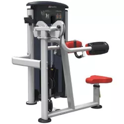 купить Скамья для силовых упражнений Impulse 4732 Lateral Raise UR IT9524 в Кишинёве 