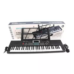 купить Музыкальная игрушка Richi (69475) Pian cu incarcator si microfon в Кишинёве 