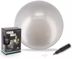 купить Мяч HMS 4823 Minge gimnastica d=65cm cu pompa Gray YB01 (17-42-161) в Кишинёве 