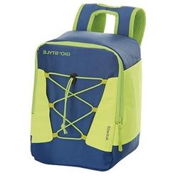 купить Сумка холодильник GioStyle 42361 ruczac Active 11l, 22X19X30cm в Кишинёве 