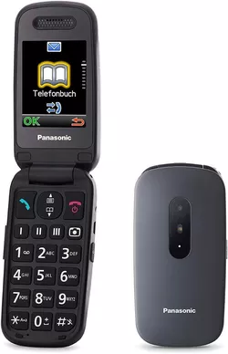 купить Телефон мобильный Panasonic KX-TU446EXG в Кишинёве 