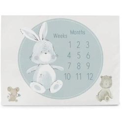 cumpără Covoraș de joacă Ceba Baby W-309-000-730 Covoras Milestone Mat Basic Friends, 92x72cm în Chișinău 