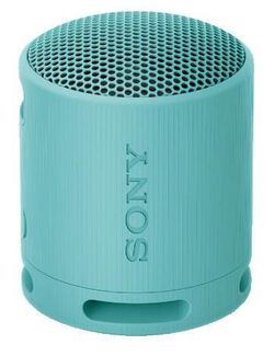 купить Колонка портативная Bluetooth Sony SRSXB100L в Кишинёве 