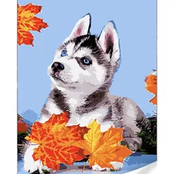 купить Картина по номерам Strateg R 9 /19 (GS1628)(74025) Husky оn frunze, 40x50 cm в Кишинёве 