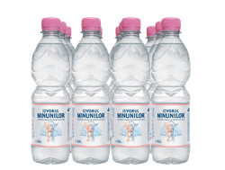 Izvorul Minunilor 0.5L  негазированная 12 шт