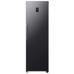 купить Холодильник однодверный Samsung RR70H39CEFEO в Кишинёве 