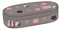 купить Школьный пенал St.RIGHT 57866 Penar 23x9.5x6cm, Kitty Paw в Кишинёве 