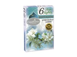 Lumanari pastile aromatizate Decor 6buc, 3.8cm, 4ore, Iasomie