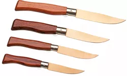 cumpără Cuțit MAM 2505 Set Bronze Titanium Collection With 4 Knives în Chișinău 