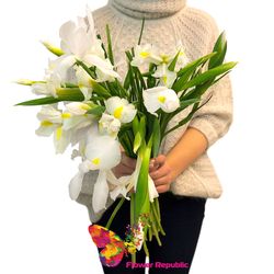 Букет из 15 белых ирисов