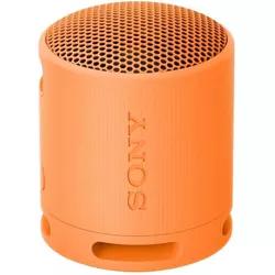 купить Колонка портативная Bluetooth Sony SRSXB100D в Кишинёве 