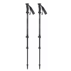 cumpără Bețe pentru trekking Masters RANGER Anthracite 01S1525 în Chișinău 