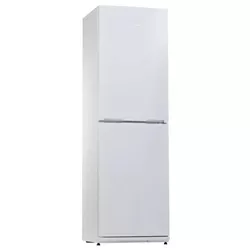 купить Холодильник с нижней морозильной камерой Snaige RF 35SM-S0002E в Кишинёве 