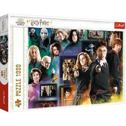 купить Головоломка Trefl 10668 Puzzles - 1000 - Wizarding World / Warner Harry Potter в Кишинёве 
