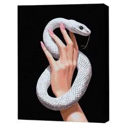 купить Картина по номерам BrushMe BSB0049FC 40x50 (pânză neagră/fără cutie) Grația șarpelui в Кишинёве 