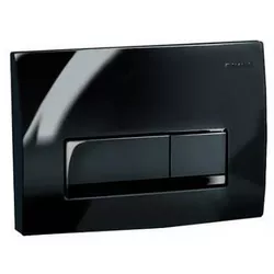 купить Кнопка смыва Geberit Delta50 Черный 115.119.DW.1 в Кишинёве 
