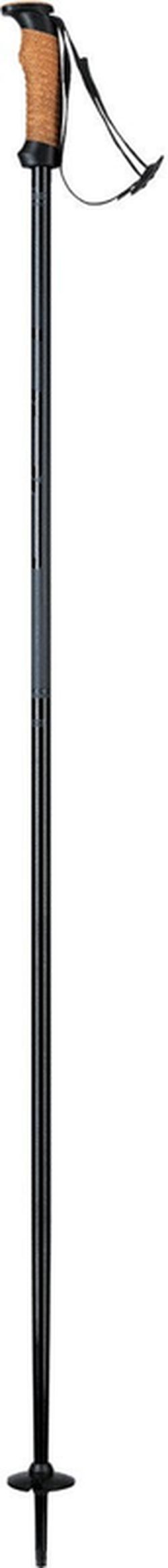 купить Лыжные палки Elan SPEED ROD Grey 130 (CD531524 130) в Кишинёве 