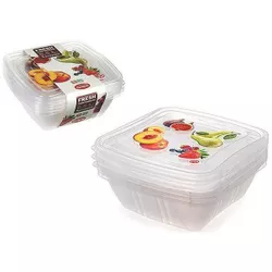 cumpără Container alimentare Snips 45451 Набор емкостей пищевых 3шт, 0.5l, 15x15x5cm în Chișinău 