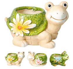 купить Цветочный горшок ProGarden 47752 Testoasa din ceramica 31x20x21cm (în sortiment) в Кишинёве 