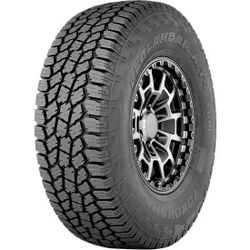 купить Шина Yokohama LT215/75 R15 106S TL Geol. A/T4 G018 RPB (RBL) в Кишинёве 