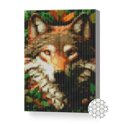 купить Картина по номерам Art Gallery XQC80109 Mozaic cu diamante 20x30cm Lup prietenos в Кишинёве 