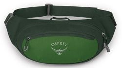 купить Поясная сумка Osprey Daylite Waist green belt/green canopy hip (843820184372) в Кишинёве 