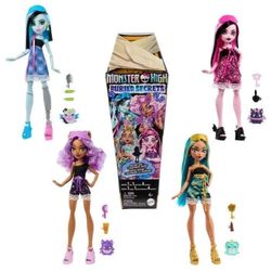 купить Кукла Mattel HYV64 Monster High в Кишинёве 